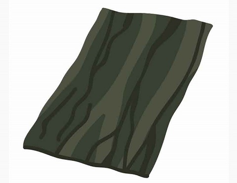 【食物繊維（しょくもつせんい）】こんぶ｜って？ 子どもの成長に大切な “第6の栄養素”の働きと重要性【食育コラム】