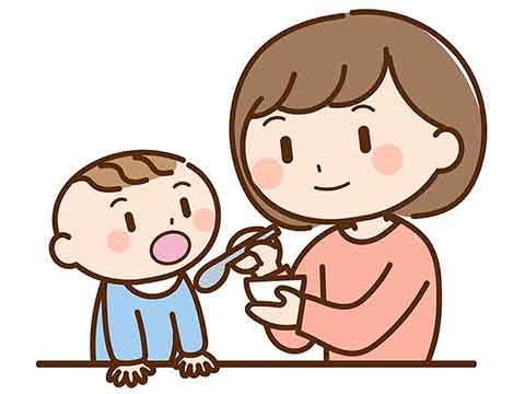 食育コラム－離乳食に取り入れる時期と固さの目安