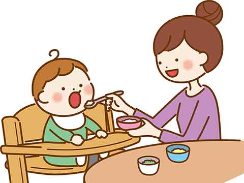 食育コラム－離乳食に取り入れる時期と固さの目安