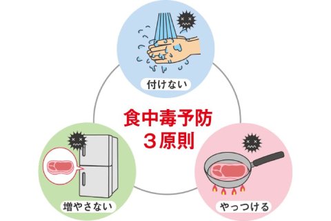 食中毒予防3原則｜【夏の食中毒対策】食中毒予防は家庭から！ 安全なお弁当をつくる注意点【季節のコラム】