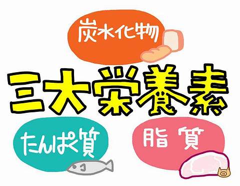 三大栄養素｜【炭水化物（たんすいかぶつ）】は、脳やからだの大切なエネルギー源！しっかりからだをつくろう・動かそう！【食育コラム】