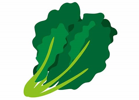 ほうれん草