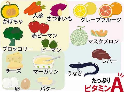 ビタミンA｜【ビタミン】の働きって？上手な摂り方を知って、日々の体調管理に活かそう！【食育コラム】