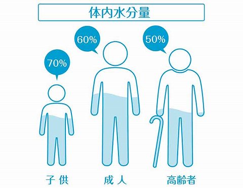 体内水分量｜【水】の働きって？ 生命活動に必要な「水のおはなし」【食育コラム】