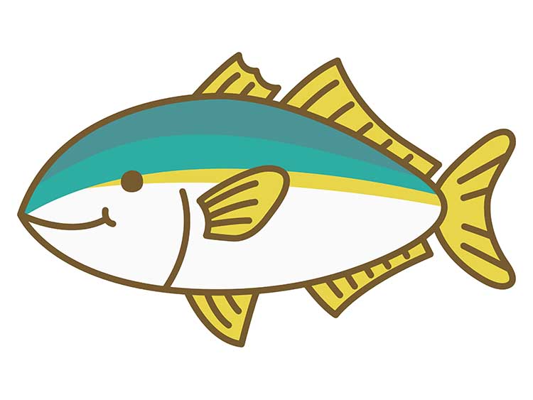 「ブリ（鰤）」の知っておきたい！栄養と調理・保存のコツ【食育コラム】