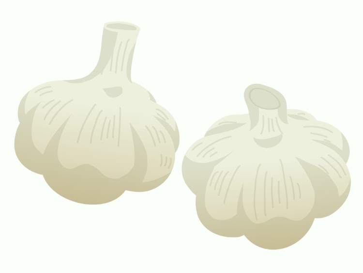 「にんにく（大蒜）」の こどもに話したい！栄養と調理・保存のコツ【食育コラム】