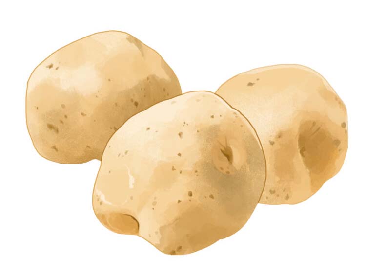 「じゃがいも」の知っておきたい！栄養と調理・保存のコツ【食育コラム】