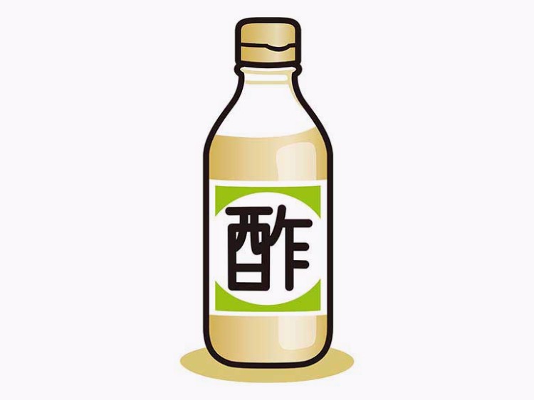 【す（酢）】は世界最古の調味料!? 意外と知らない「酢」の起源と魅力を知ろう「調味料の さしすせそ・発酵食品」【食育コラム】