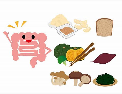 腸が元気｜【食物繊維（しょくもつせんい）】って？ 子どもの成長に大切な “第6の栄養素”の働きと重要性【食育コラム】