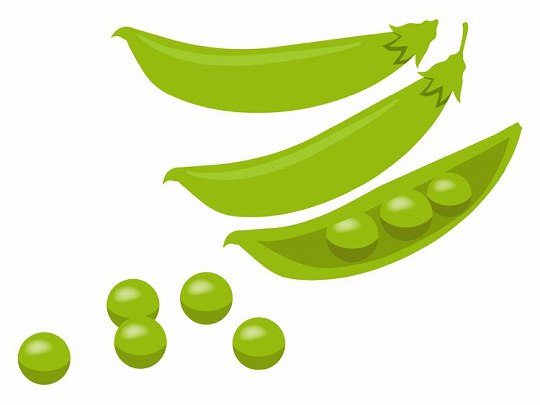 スナップエンドウ