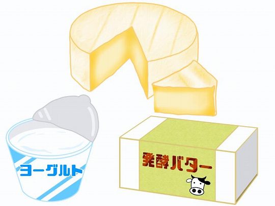 乳製品（バター、チーズ、ヨーグルト）