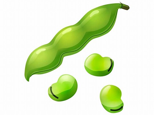 「そらまめ(そら豆)」の こどもに話したい!栄養と調理・保存のコツ【食育コラム】