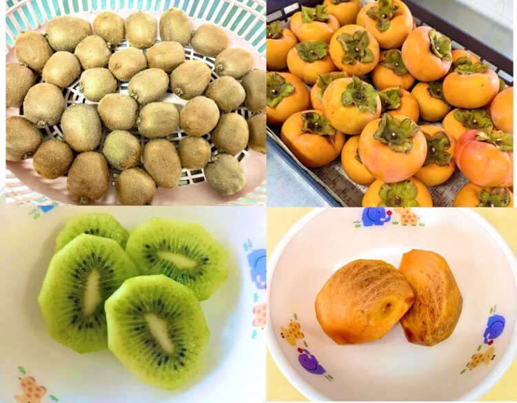 こども園の給食に“柿（かき）とキウイ”が登場！秋の恵みをいただきました☆彡