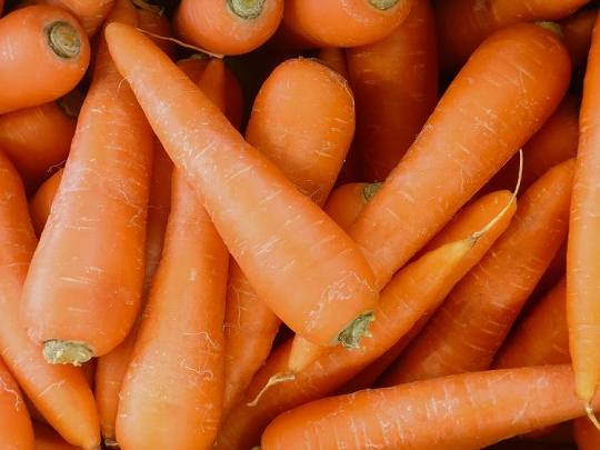 にんじん