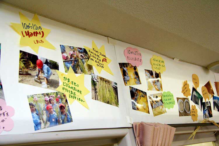 学校法人帝塚山学院　帝塚山学院幼稚園さま【大阪府】（お弁当給食サービス（配達）