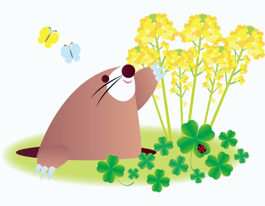 菜の花イメージ