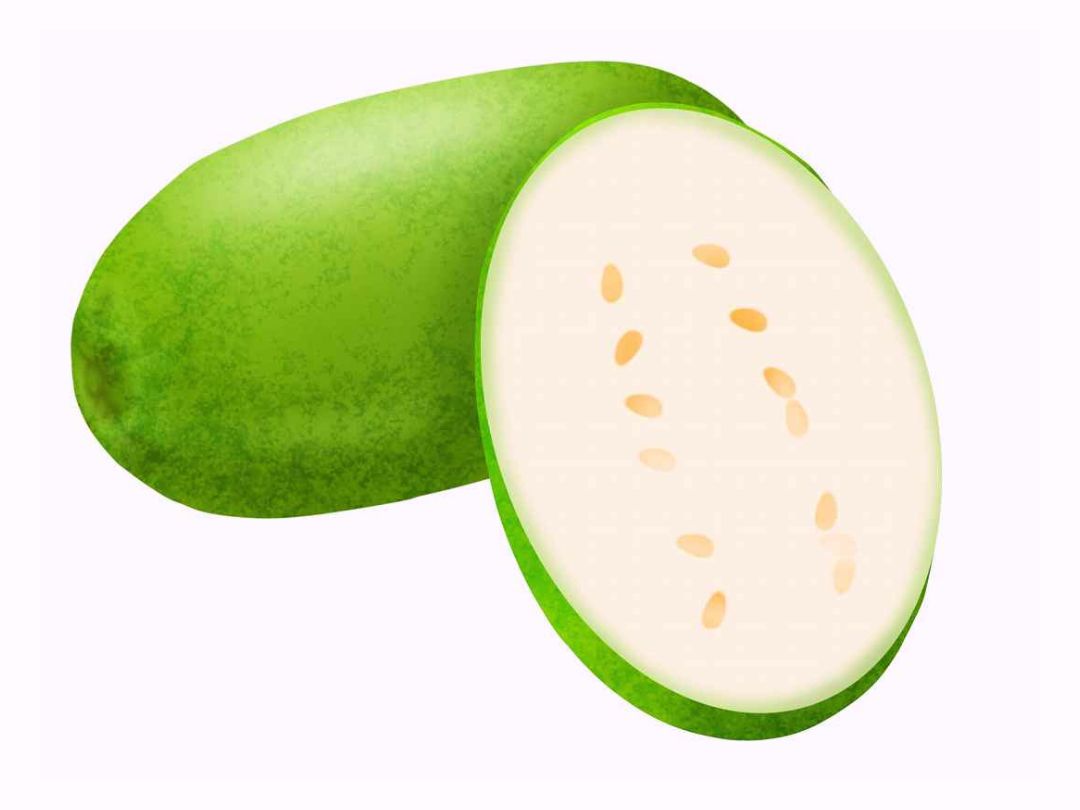 「とうがん（冬瓜）」の こどもに話したい！栄養と調理・保存のコツ【食育コラム】