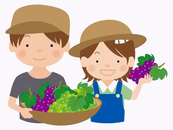「ぶどう（葡萄）」の こどもに話したい！栄養と調理・保存のコツ【食育コラム】