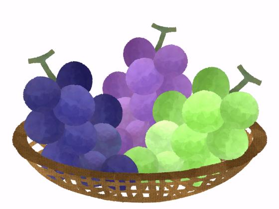 「ぶどう（葡萄）」の こどもに話したい！栄養と調理・保存のコツ【食育コラム】