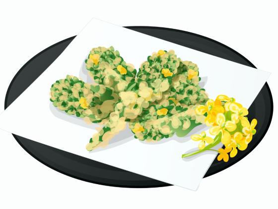 菜の花の天ぷら