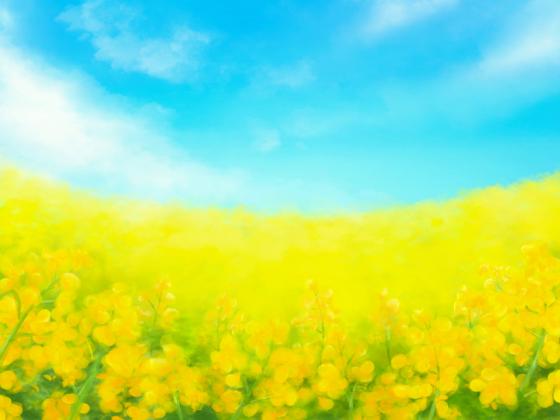 「なのはな(菜の花)」の こどもに話したい!栄養と調理・保存のコツ【食育コラム】