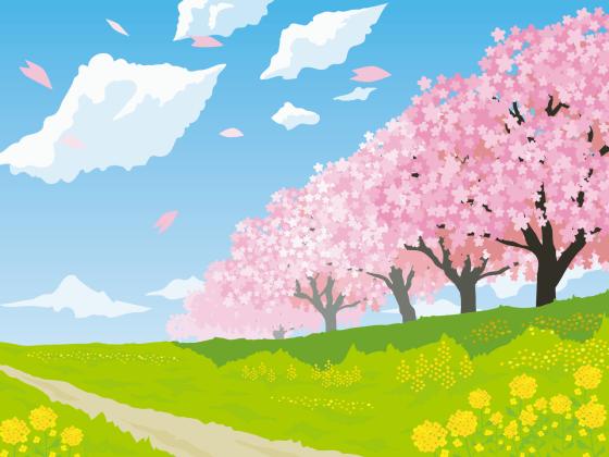 「なのはな(菜の花)」の こどもに話したい!栄養と調理・保存のコツ【食育コラム】